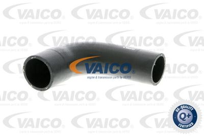V102914 VAICO Трубка нагнетаемого воздуха