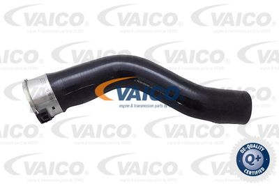 V210054 VAICO Трубка нагнетаемого воздуха