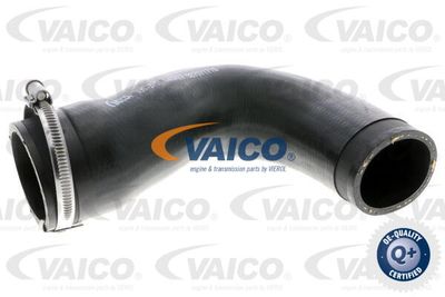 V303151 VAICO Трубка нагнетаемого воздуха
