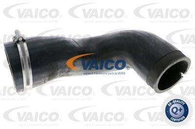 V401174 VAICO Трубка нагнетаемого воздуха