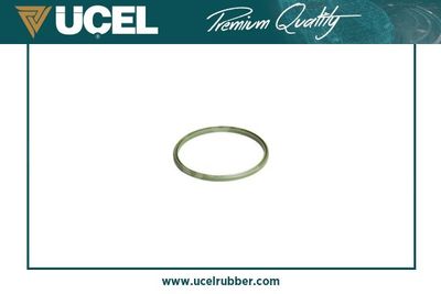 65448 UCEL Уплотнительное кольцо, трубка нагнетаемого воздуха