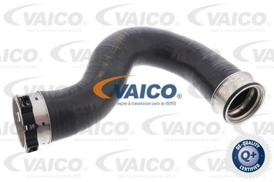 V301799 VAICO Трубка нагнетаемого воздуха