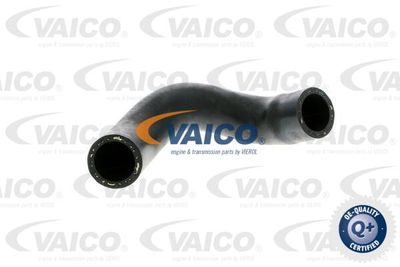 V102880 VAICO Трубка нагнетаемого воздуха