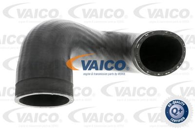 V103813 VAICO Трубка нагнетаемого воздуха