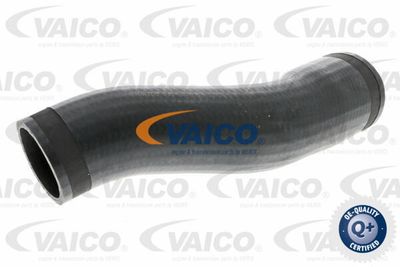 V103773 VAICO Трубка нагнетаемого воздуха