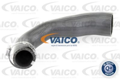 V250947 VAICO Трубка нагнетаемого воздуха