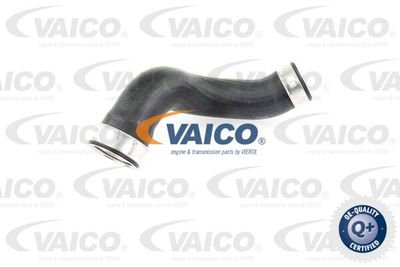 V301789 VAICO Трубка нагнетаемого воздуха