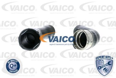 V201616 VAICO Трубка нагнетаемого воздуха