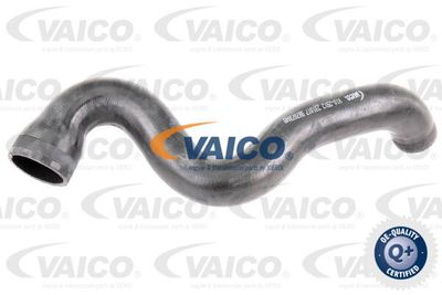V102912 VAICO Трубка нагнетаемого воздуха