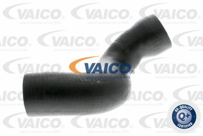 V103827 VAICO Трубка нагнетаемого воздуха