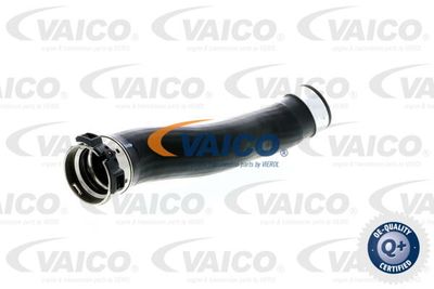 V201618 VAICO Трубка нагнетаемого воздуха
