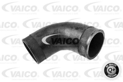 V480202 VAICO Трубка нагнетаемого воздуха