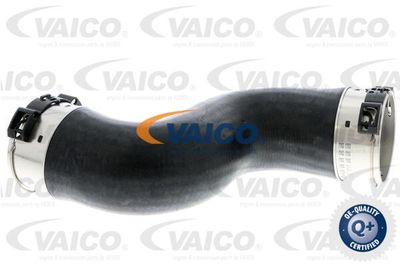 V302689 VAICO Трубка нагнетаемого воздуха