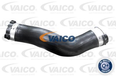 V204361 VAICO Трубка нагнетаемого воздуха