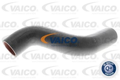 V460743 VAICO Трубка нагнетаемого воздуха