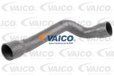 V103775 VAICO Трубка нагнетаемого воздуха