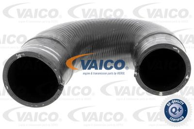 V240804 VAICO Трубка нагнетаемого воздуха