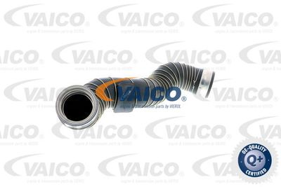 V301775 VAICO Трубка нагнетаемого воздуха