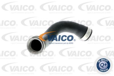 V102899 VAICO Трубка нагнетаемого воздуха