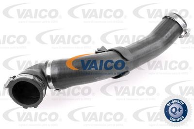 V251176 VAICO Трубка нагнетаемого воздуха