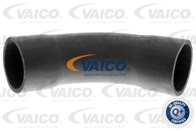 V201622 VAICO Трубка нагнетаемого воздуха