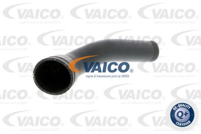 V301796 VAICO Трубка нагнетаемого воздуха