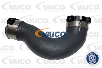 V301066 VAICO Трубка нагнетаемого воздуха