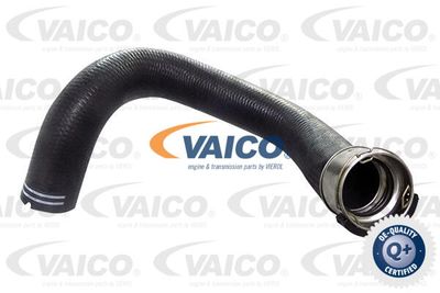 V241290 VAICO Трубка нагнетаемого воздуха