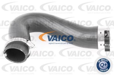 V103782 VAICO Трубка нагнетаемого воздуха
