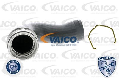 V105315 VAICO Трубка нагнетаемого воздуха