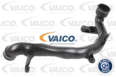 V106496 VAICO Трубка нагнетаемого воздуха