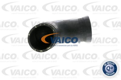 V102923 VAICO Трубка нагнетаемого воздуха