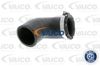 V102881 VAICO Трубка нагнетаемого воздуха