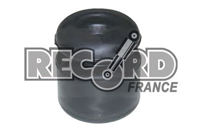 923715 RECORD FRANCE Пылезащитный комплект, амортизатор