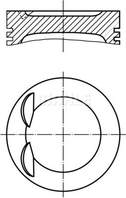 WG2101354 WILMINK GROUP Поршень