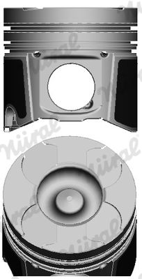 WG1175262 WILMINK GROUP Поршень