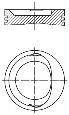 WG1214356 WILMINK GROUP Поршень