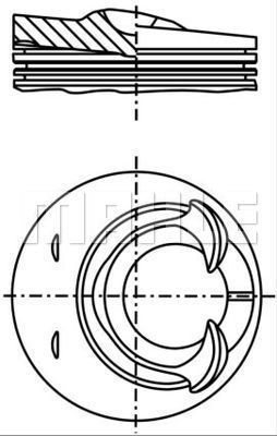 WG1258455 WILMINK GROUP Поршень