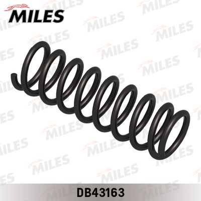 DB43163 MILES Пружина ходовой части