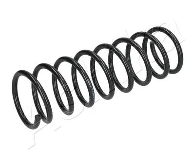 ZCA5311A ASHIKA Пружина ходовой части