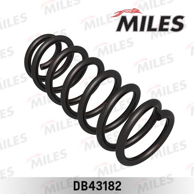 DB43182 MILES Пружина ходовой части