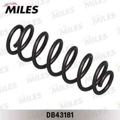 DB43181 MILES Пружина ходовой части