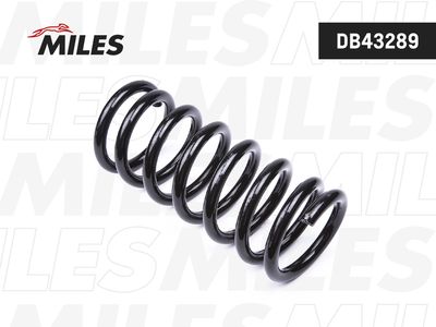 DB43289 MILES Пружина ходовой части