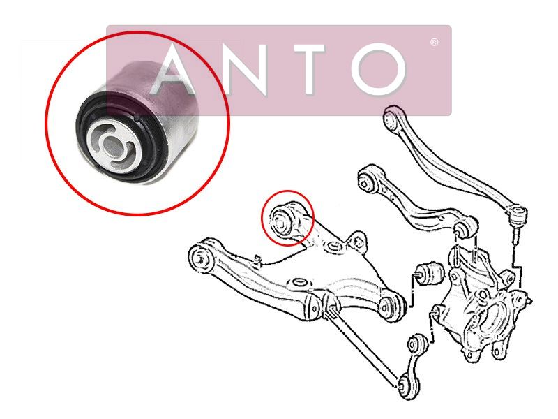 Сайлентблок заднего нижнего рычага BMW 5 F1 09-bmw6 F06 11-f1 11-bmw7 F0 09-15 ANTO                ASB65088