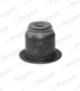 PA6072 PAYEN Уплотнительное кольцо, стержень клапана