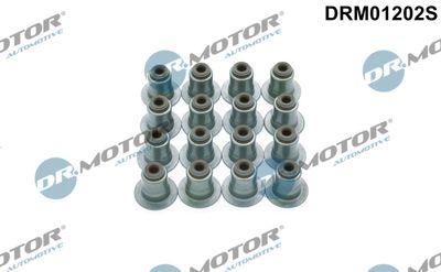 DRM01202S Dr.Motor Automotive Комплект прокладок, стержень клапана