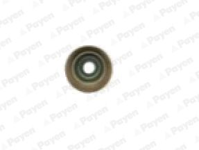 PA6095 PAYEN Уплотнительное кольцо, стержень клапана
