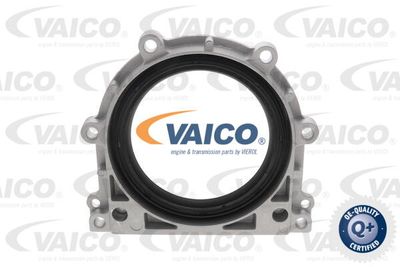 V306142 VAICO Уплотняющее кольцо, коленчатый вал