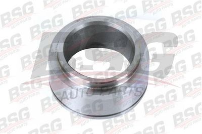 BSG30122004 BSG Уплотняющее кольцо, промежуточный вал