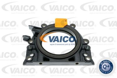 V103686 VAICO Уплотняющее кольцо, коленчатый вал